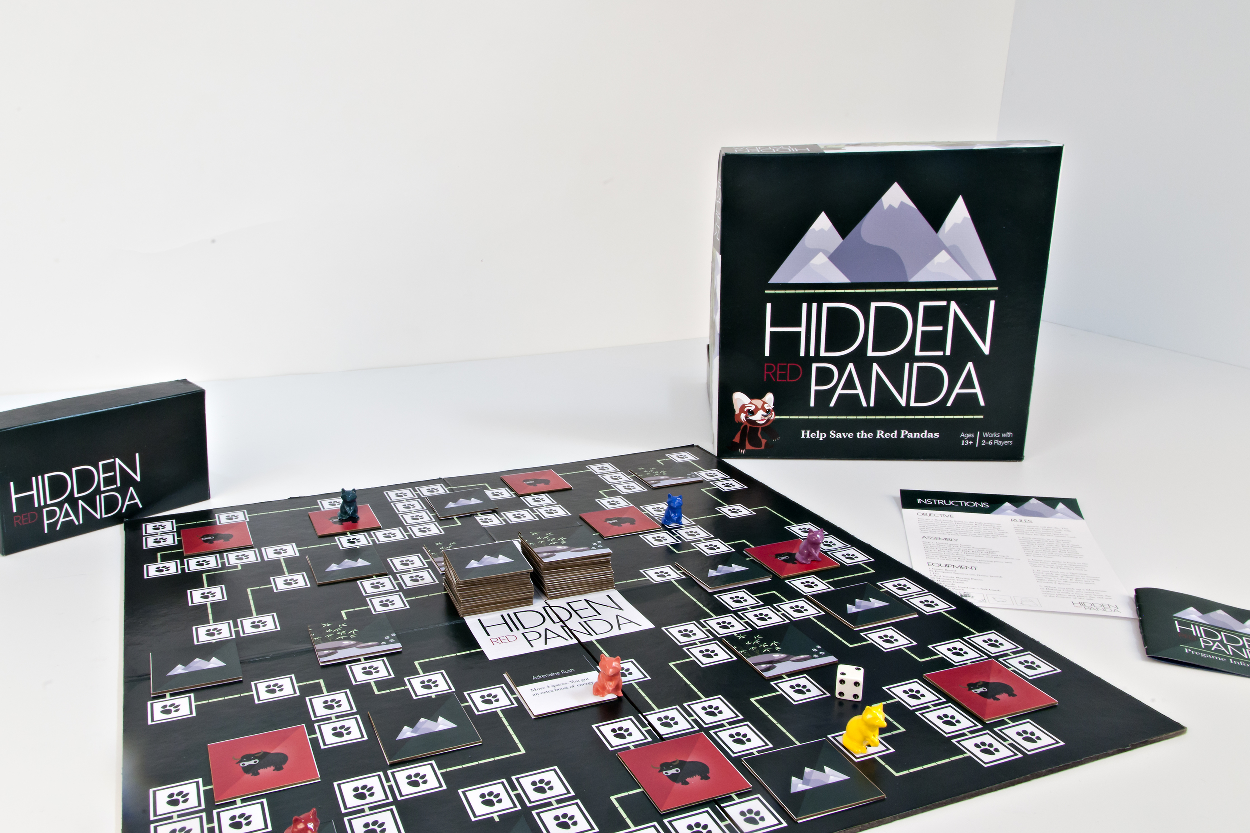 Board Game laid out